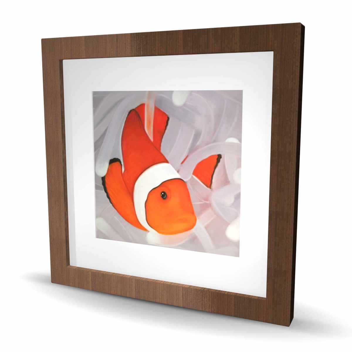 C1FM1616C3Z5UO 16 x 16 in. Clownfish Under the Sea - Exotic Framed Print for Home Decor