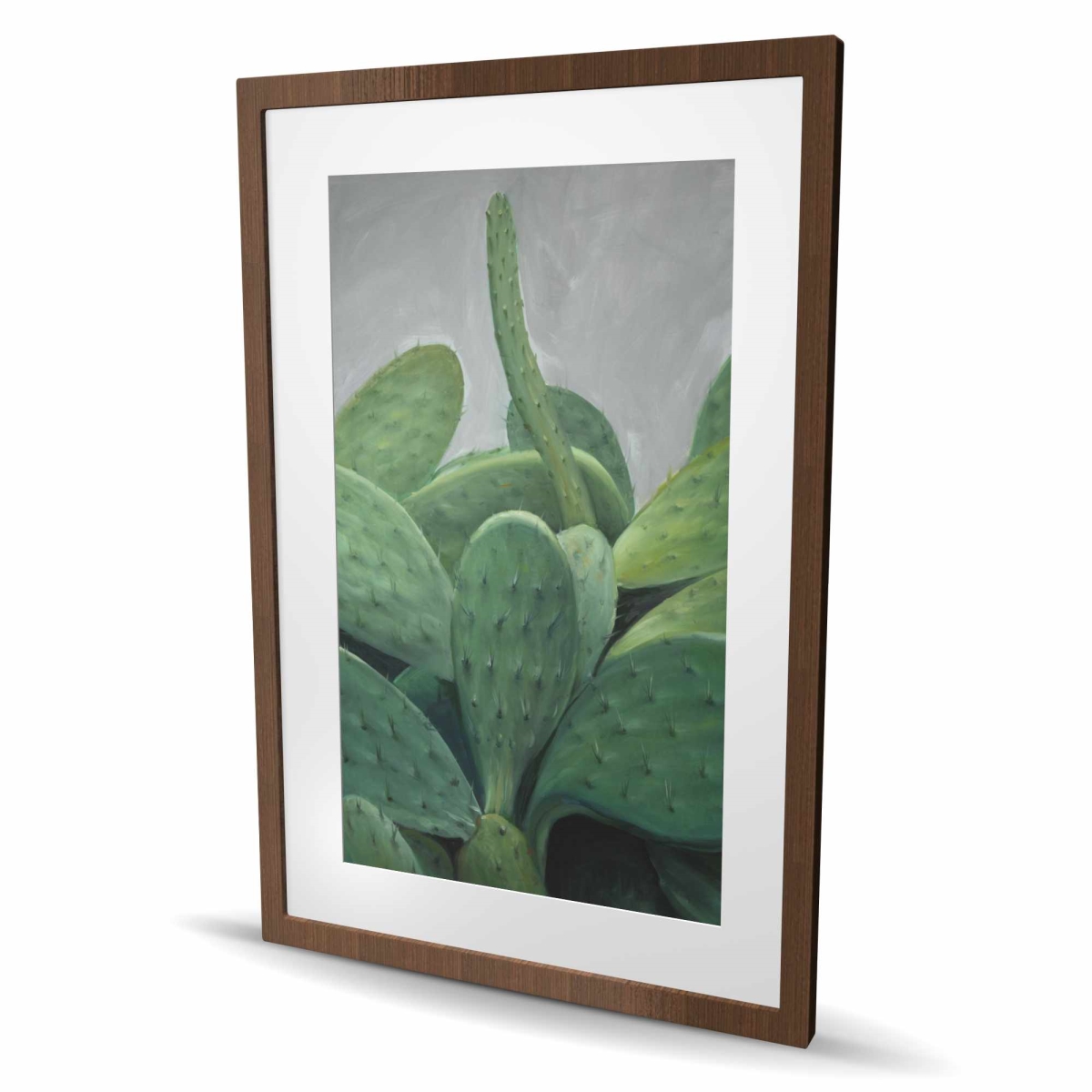 C1FM24365723SQ 24 x 36 in. Cactus Bundle - Exotic Framed Matted Print for Home Decor