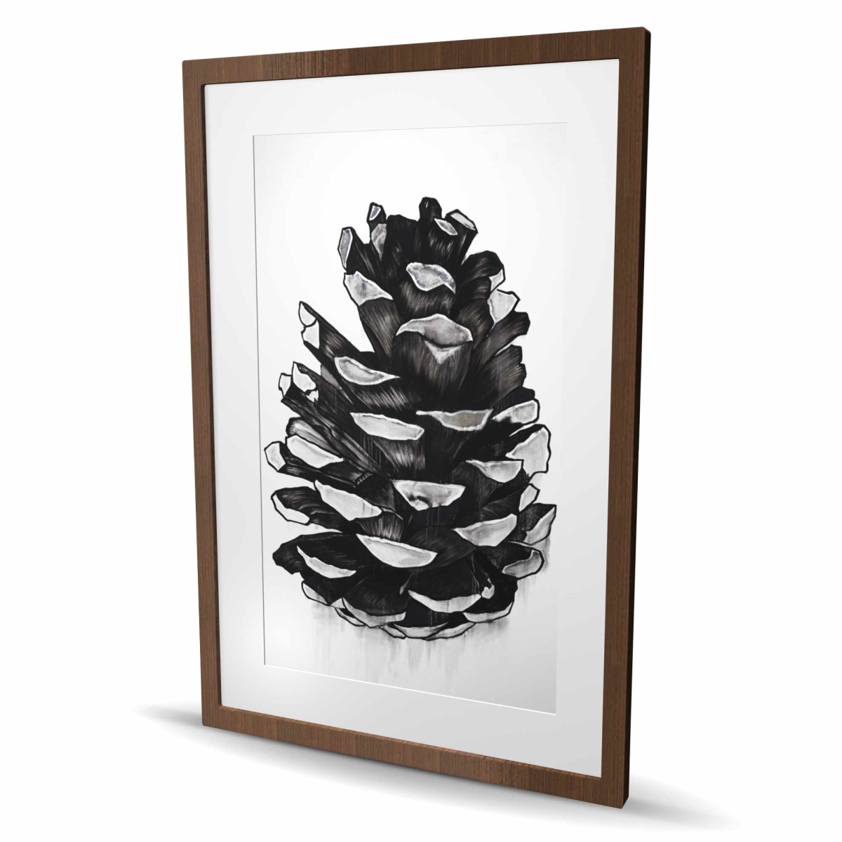 C1FM24365D18RB 24 x 36 in. Pine Cone - Botanical Seasons Framed Matted Print for Decor