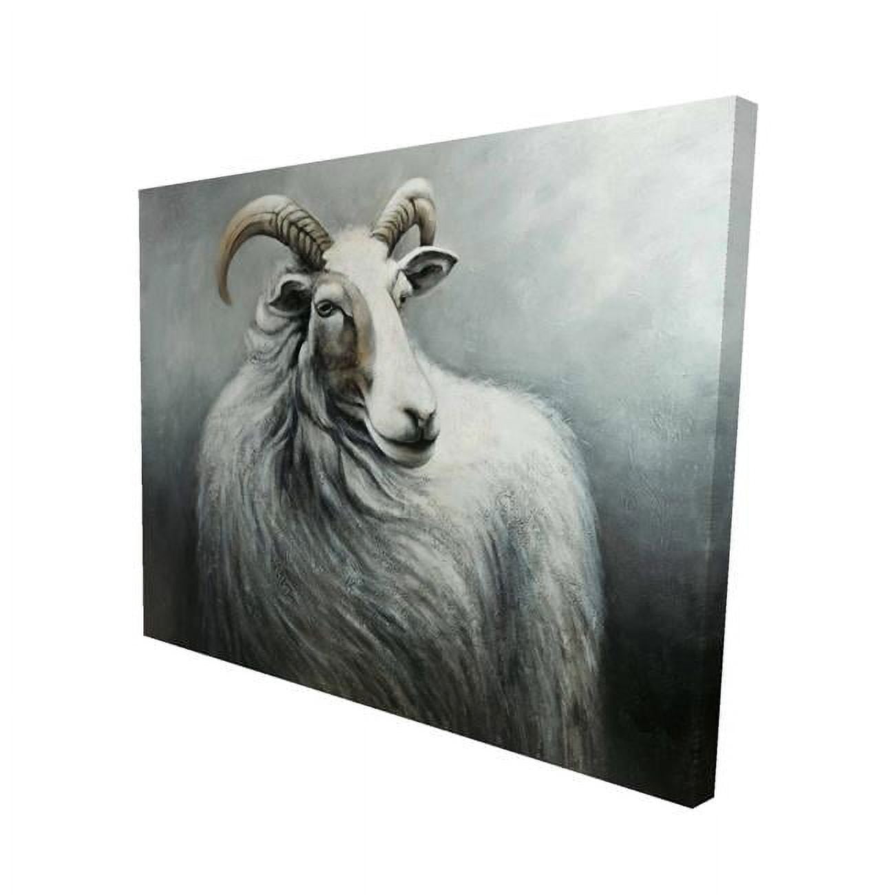 16 x 20 in. Cashmere Goat-Print on Canvas
