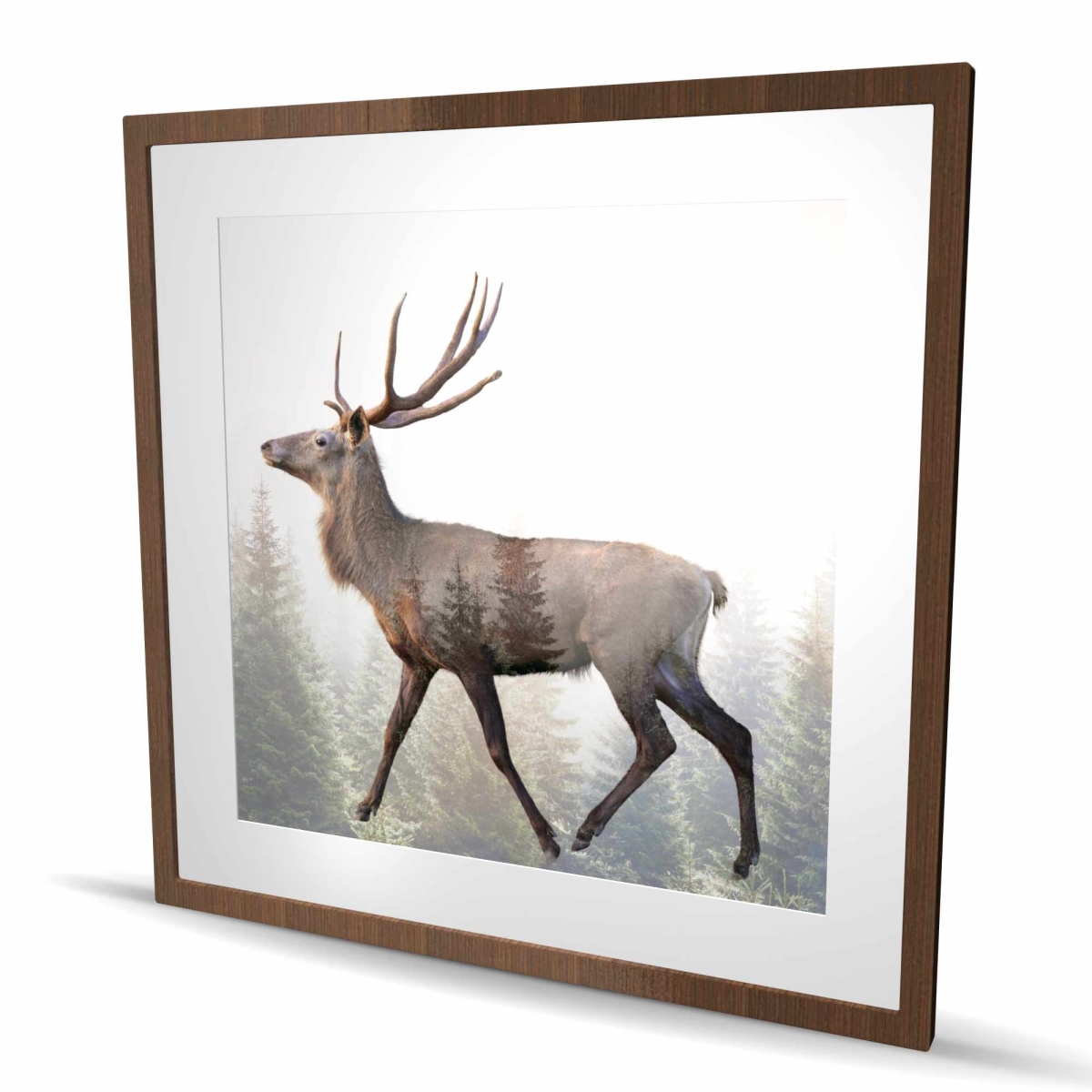 C1FM3636F07313 36 x 36 in. Large Plume Roe Deer - Holidays Office Framed Print Decor