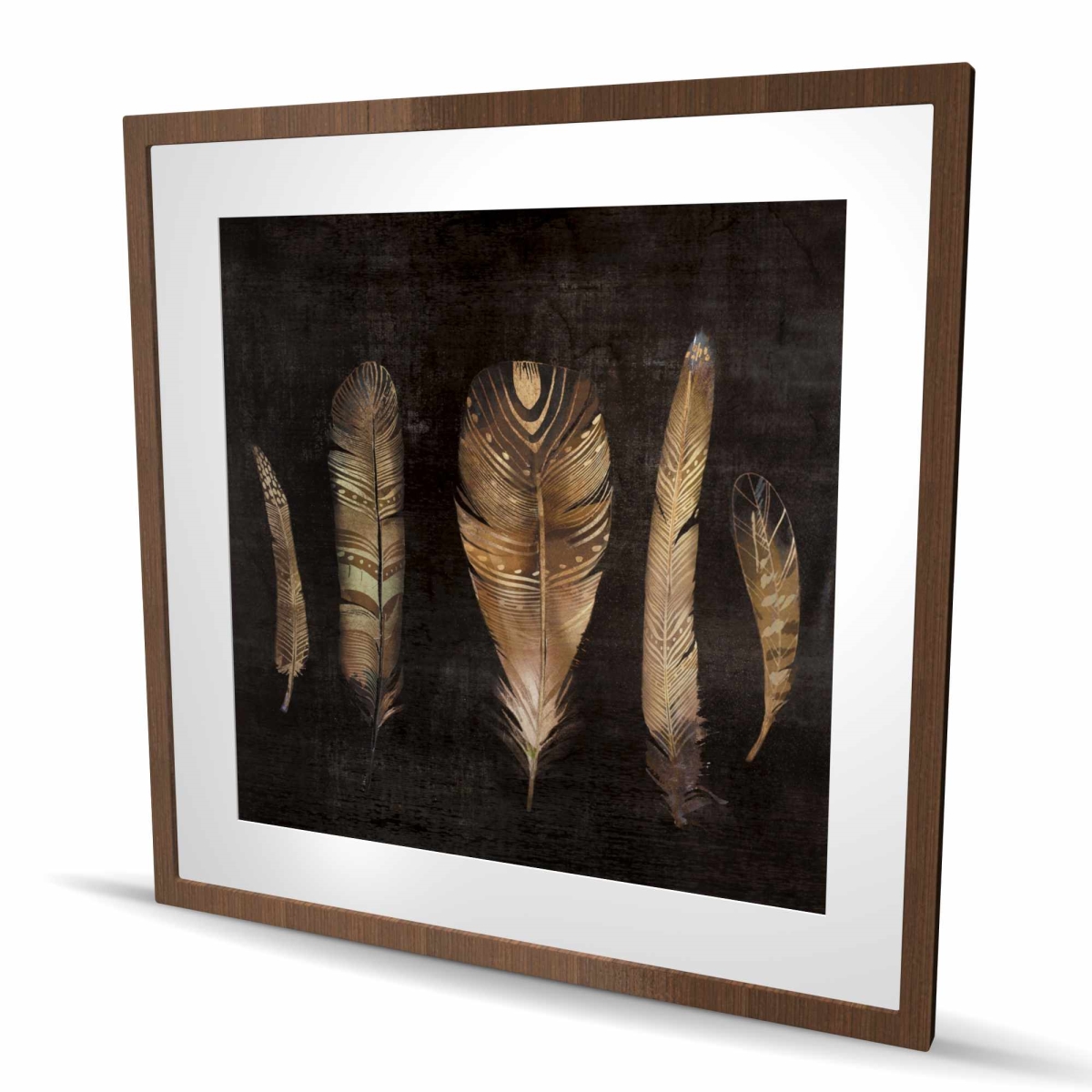 C1FM3636800752 36 x 36 in. Brown Feather Set - Framed Matted Print for Home Decor