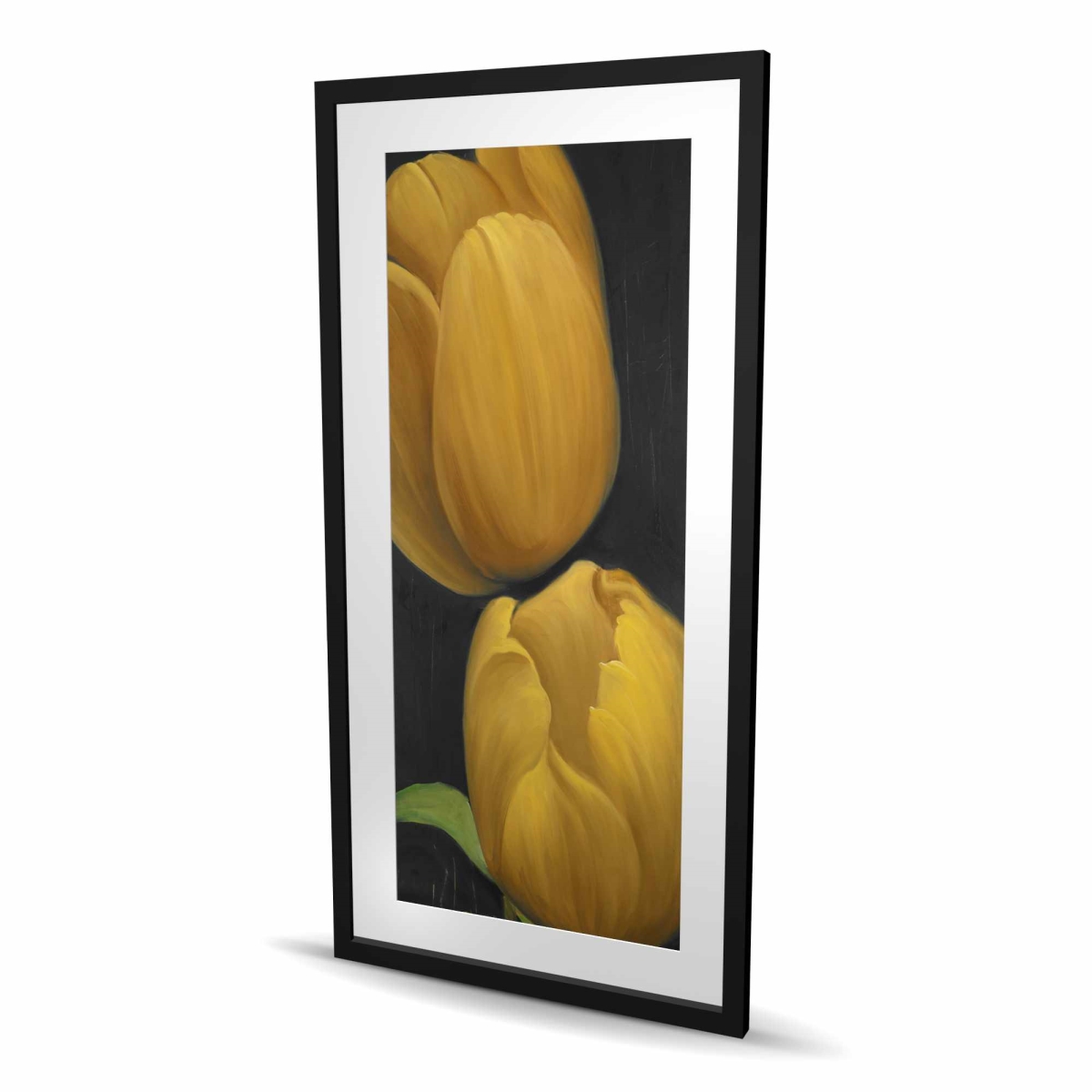 C1FM2448VNK0TP 24 x 48 in. Two Daffodils Flowers - Black Romantic Framed Print Decor