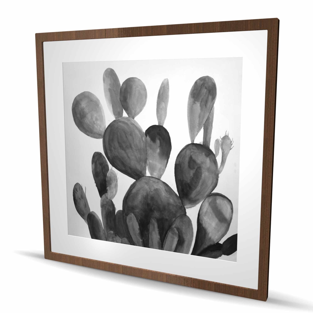C1FM36362LY3RS 36 x 36 in. Grayscale Paddle Cactus Plant - Framed Matted Print Decor