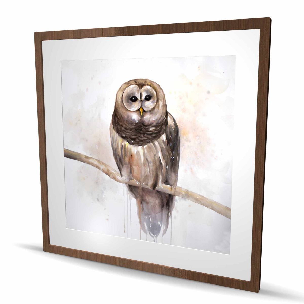 C1FM3636DWRJPP 36 x 36 in. Barred Owl Beige Rustic Framed Matted Print for Home Decor