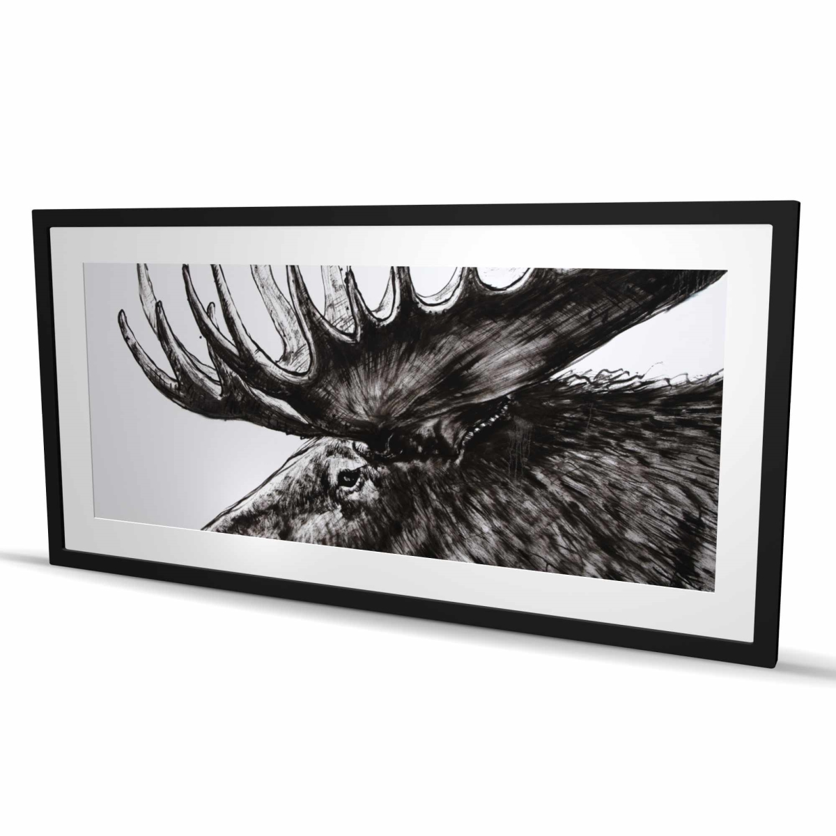 C1FM2448FTLEY3 24 x 48 in. Moose Plume - Black & White Framed Matted Print for Decor