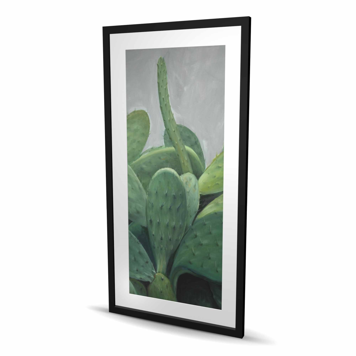 C1FM2448FWTHFH 24 x 48 in. Cactus Bundle - Hyperrealist Botanical Framed Print Decor