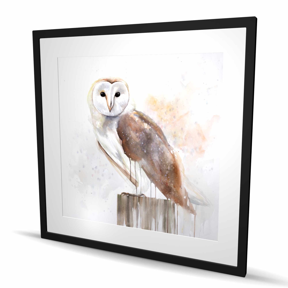C1FM3636ZCUFTX 36 x 36 in. Barn Owl - Framed Matted Print for Home Decor - Bird Office