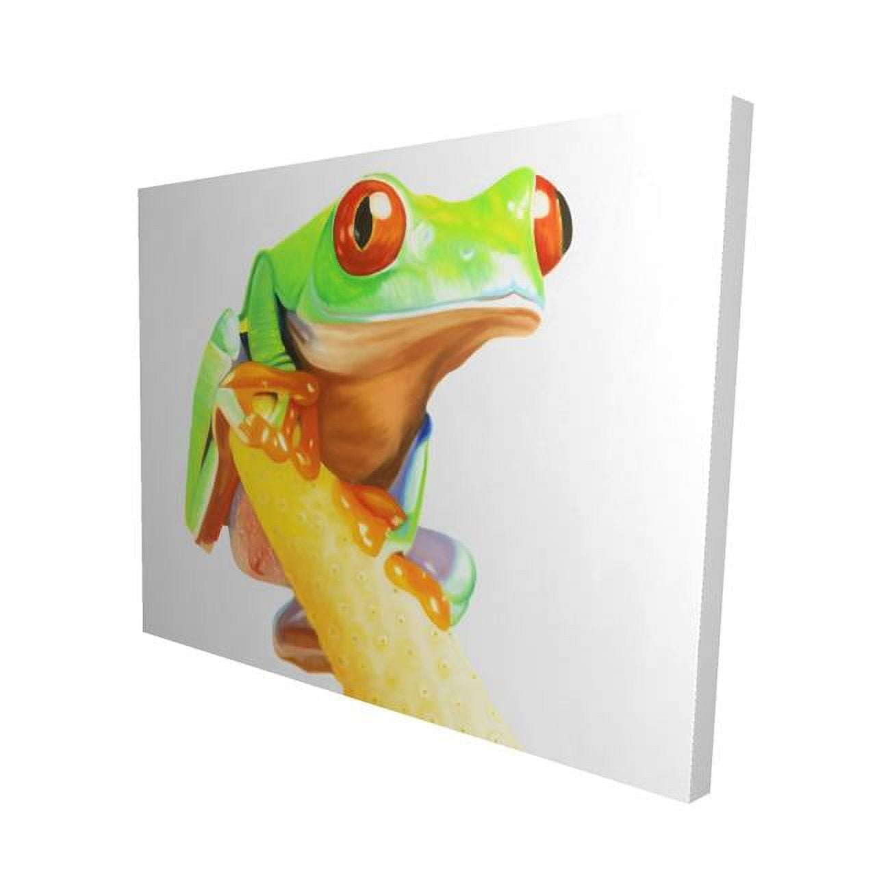 16 x 20 in. Curious Red Eyed Frog-Print on Canvas