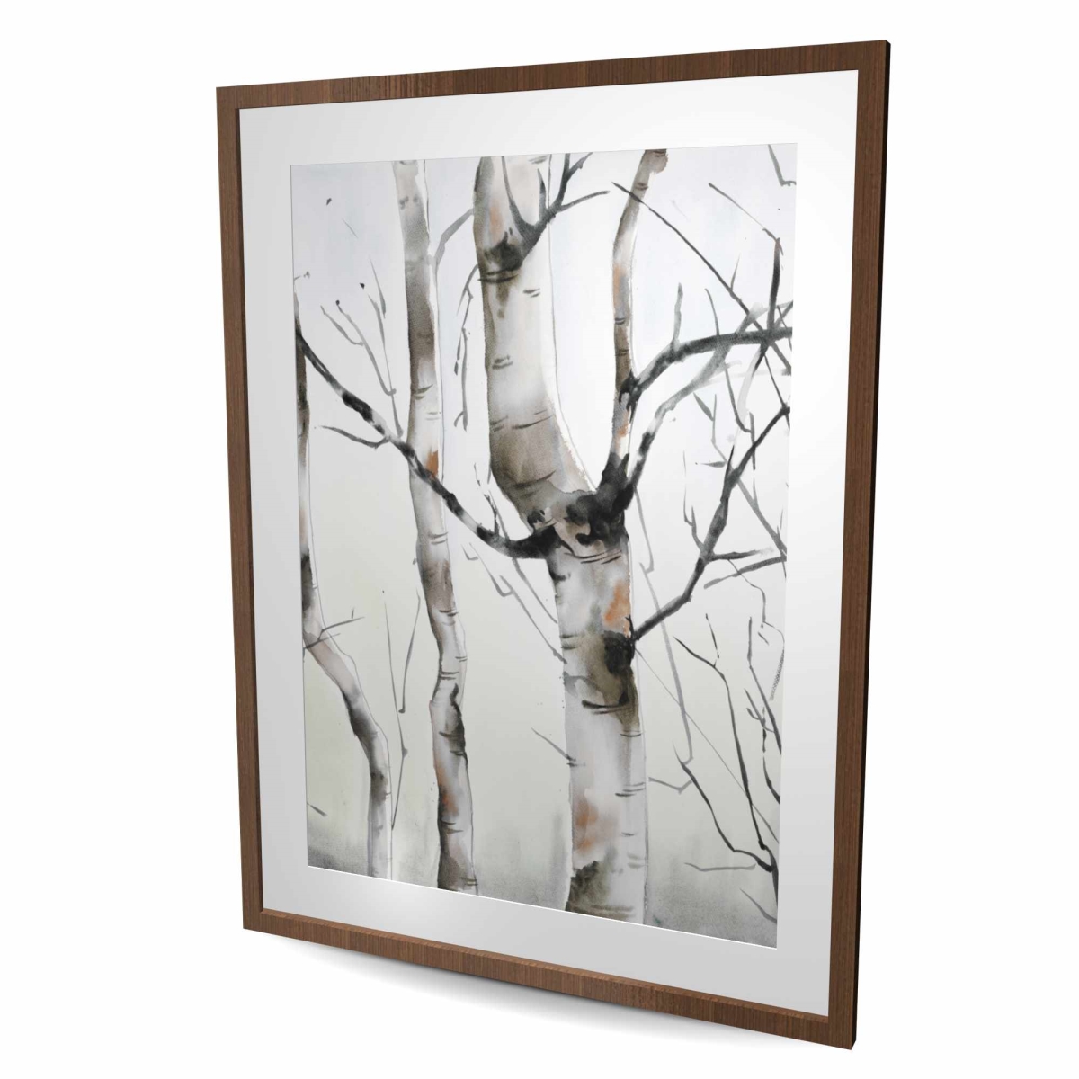 C1FM3648SYF4UG 36 x 48 in. Three Birches Trees - Framed Matted Print for Office Decor