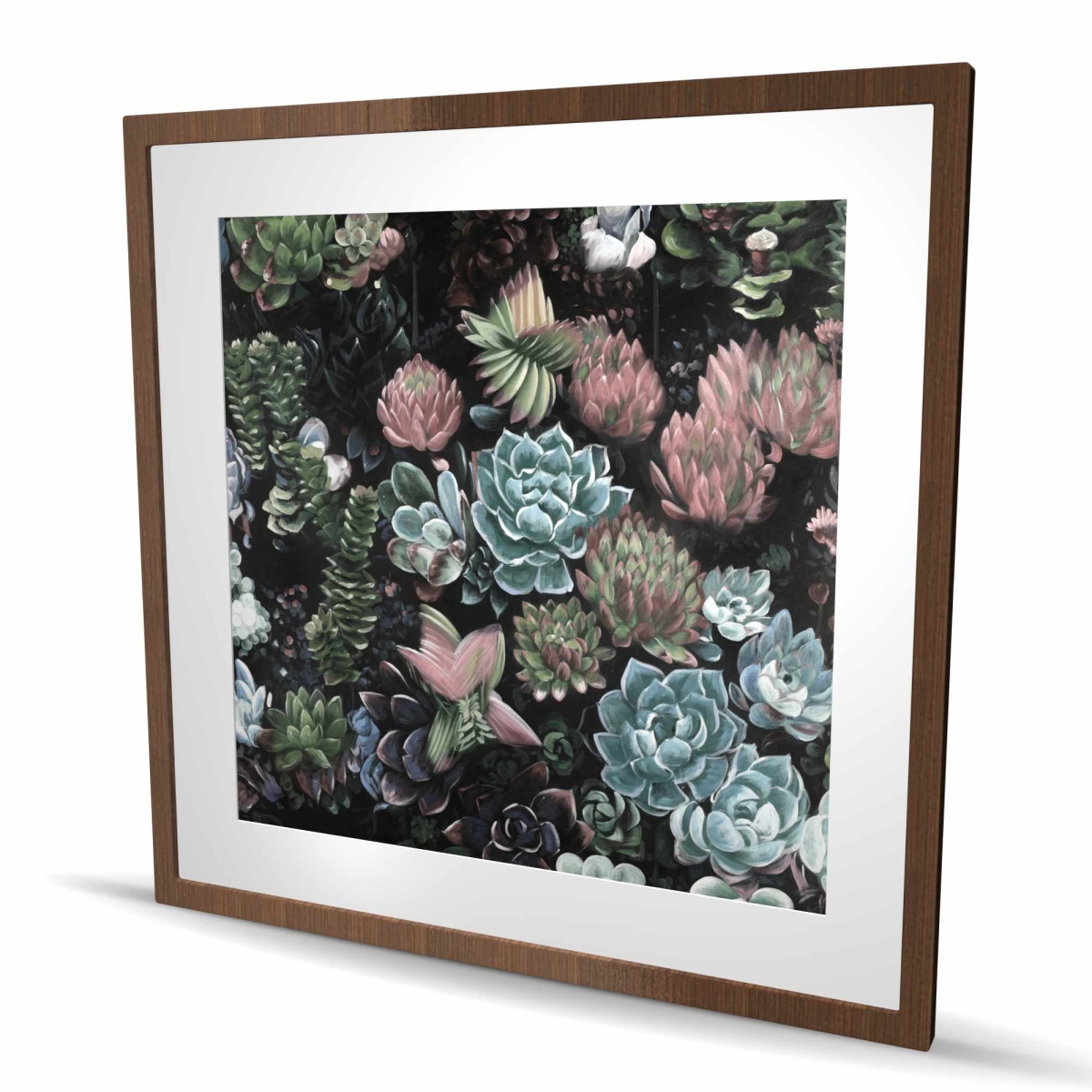 C1FM3636LYDHST 36 x 36 in. Succulent Set - Exotic Botanical Framed Print for Home Decor