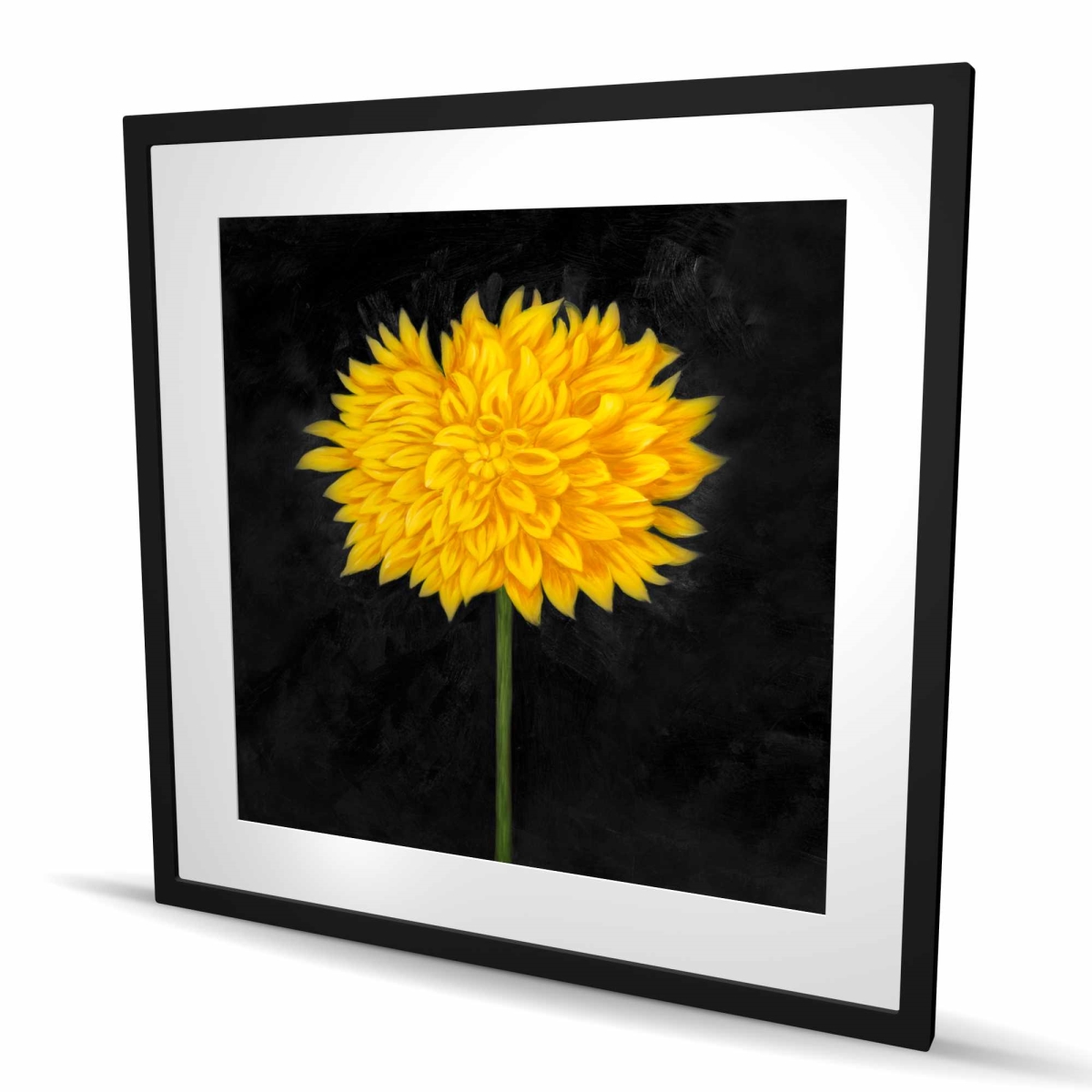 C1FM3636MGUDRH 36 x 36 in. Yellow Chrysanthemum - Rustic Black Framed Matted Print