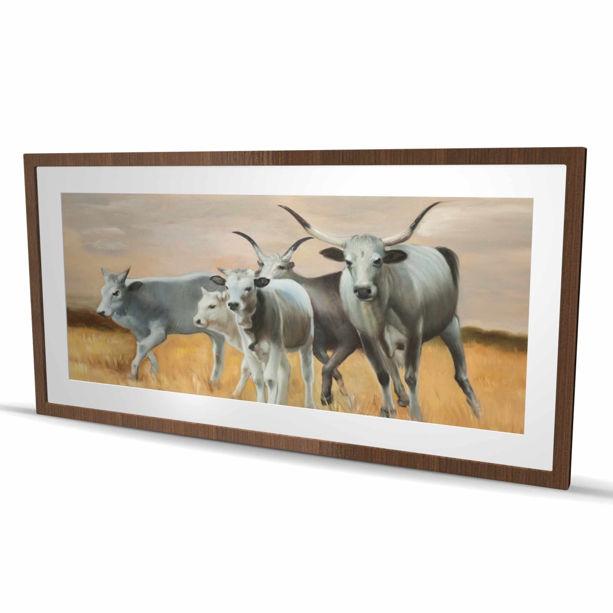 C1FM2448VUKQL7 24 x 48 in. Nguni Breeding - Landscapes White Framed Matted Print Decor