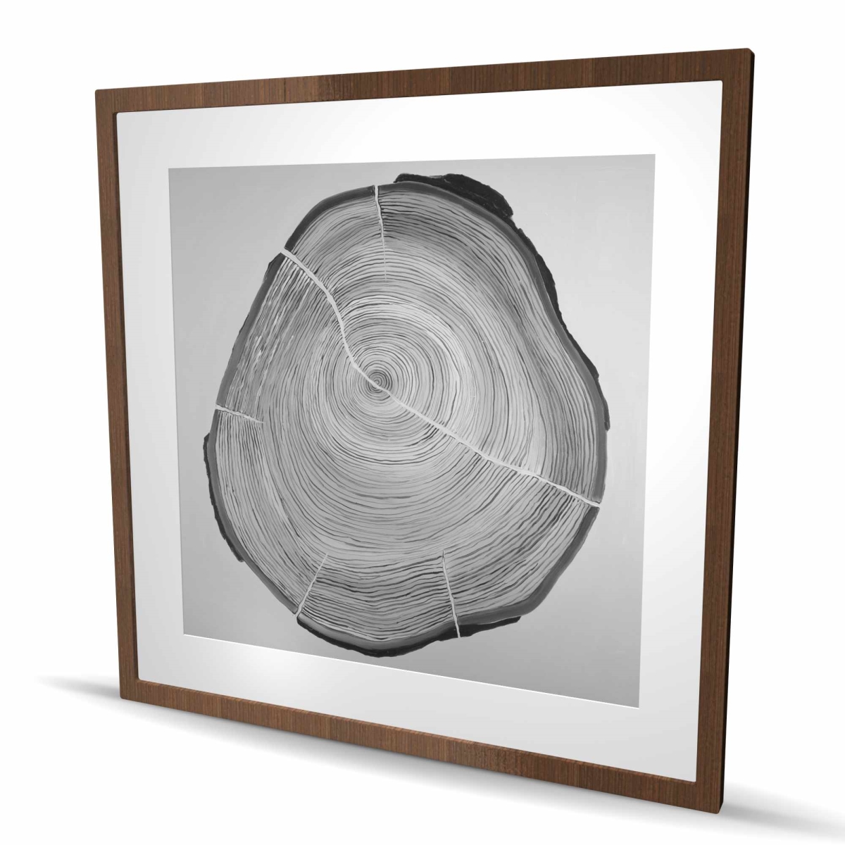 C1FM36362VBYYT 36 x 36 in. Grayscale Wood Log - Trees Still Life Framed Matted Print