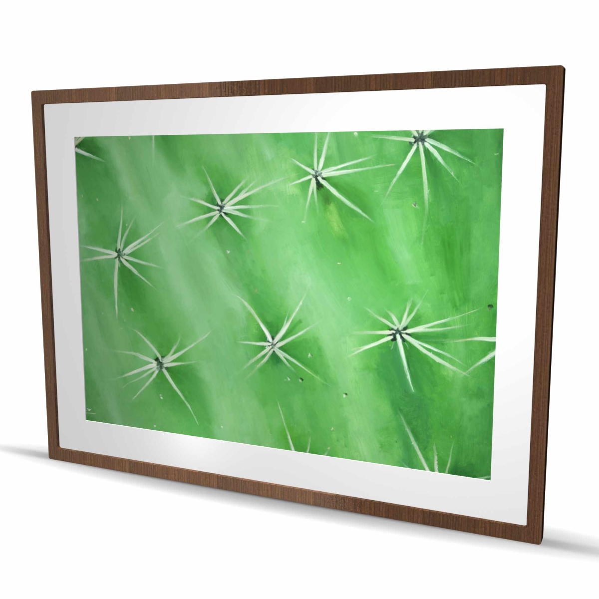 C1FM3648636A3P 36 x 48 in. Cactus Closeup - Green Office Framed Matted Print for Decor
