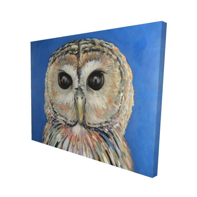 16 x 20 in. Colorful Spotted Owl-Print on Canvas
