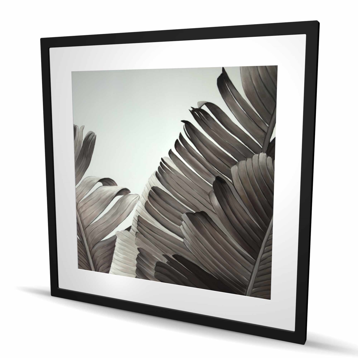 C1FM3636XRDFH8 36 x 36 in. Grayscale Tropical Leaves - Framed Matted Print - Home Decor