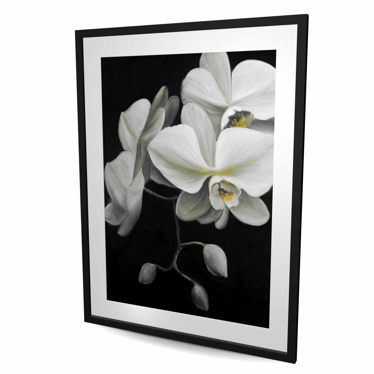C1FM364867HUTS 36 x 48 in. White Orchids - Bedroom Framed Matted Print for Home Decor