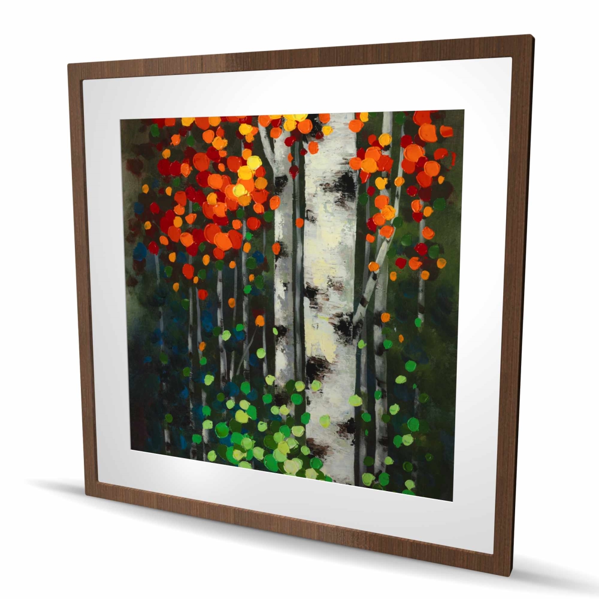 C1FM3636AQDLI9 36 x 36 in. Birch with Two-Tone Leaves - Framed Matted Print for Decor