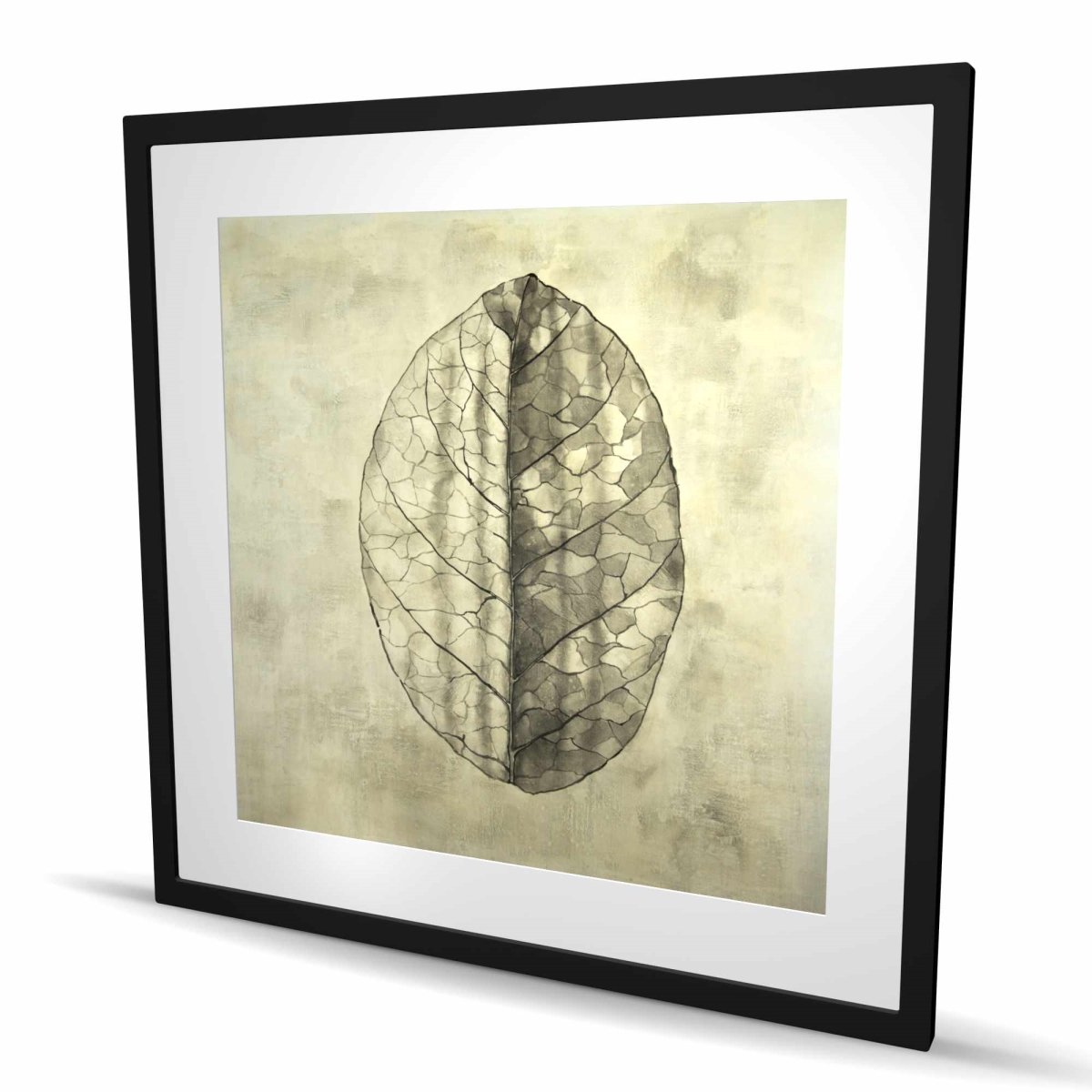 C1FM3636RCW0D5 36 x 36 in. Translucent Floral Beige Framed Matted Print for Home Decor