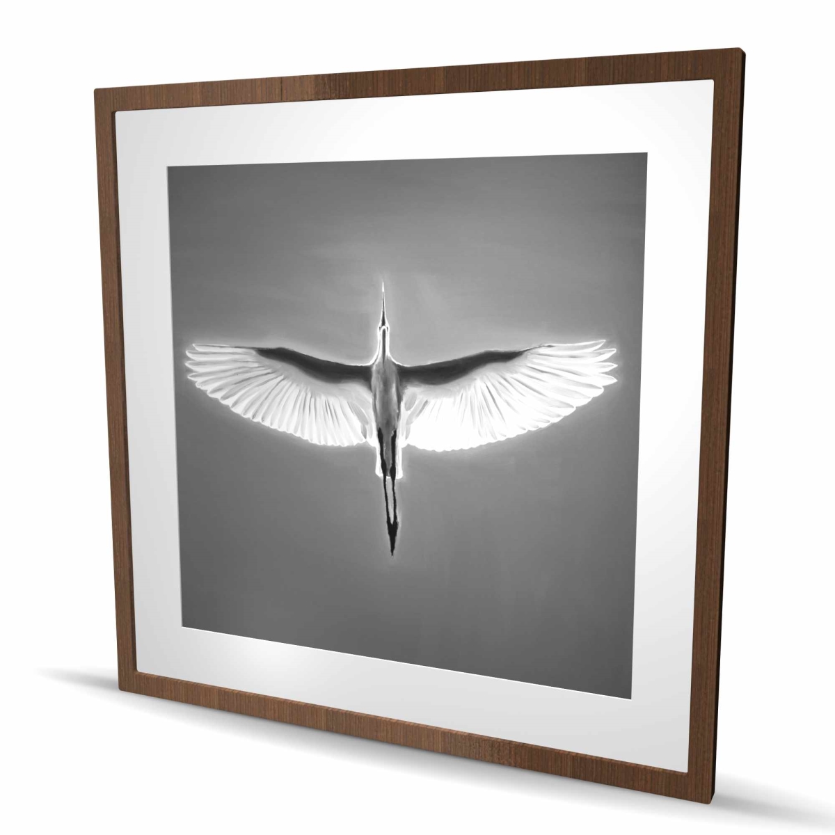 C1FM3636DFIEXC 36 x 36 in. Great Blue Heron in Flight - Black & White Framed Print