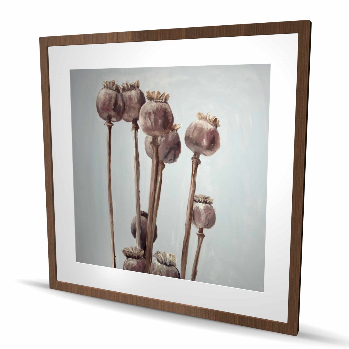 C1FM3636TELQ8J 36 x 36 in. Sepia Poppy Head Plants - White Still Life Framed Print