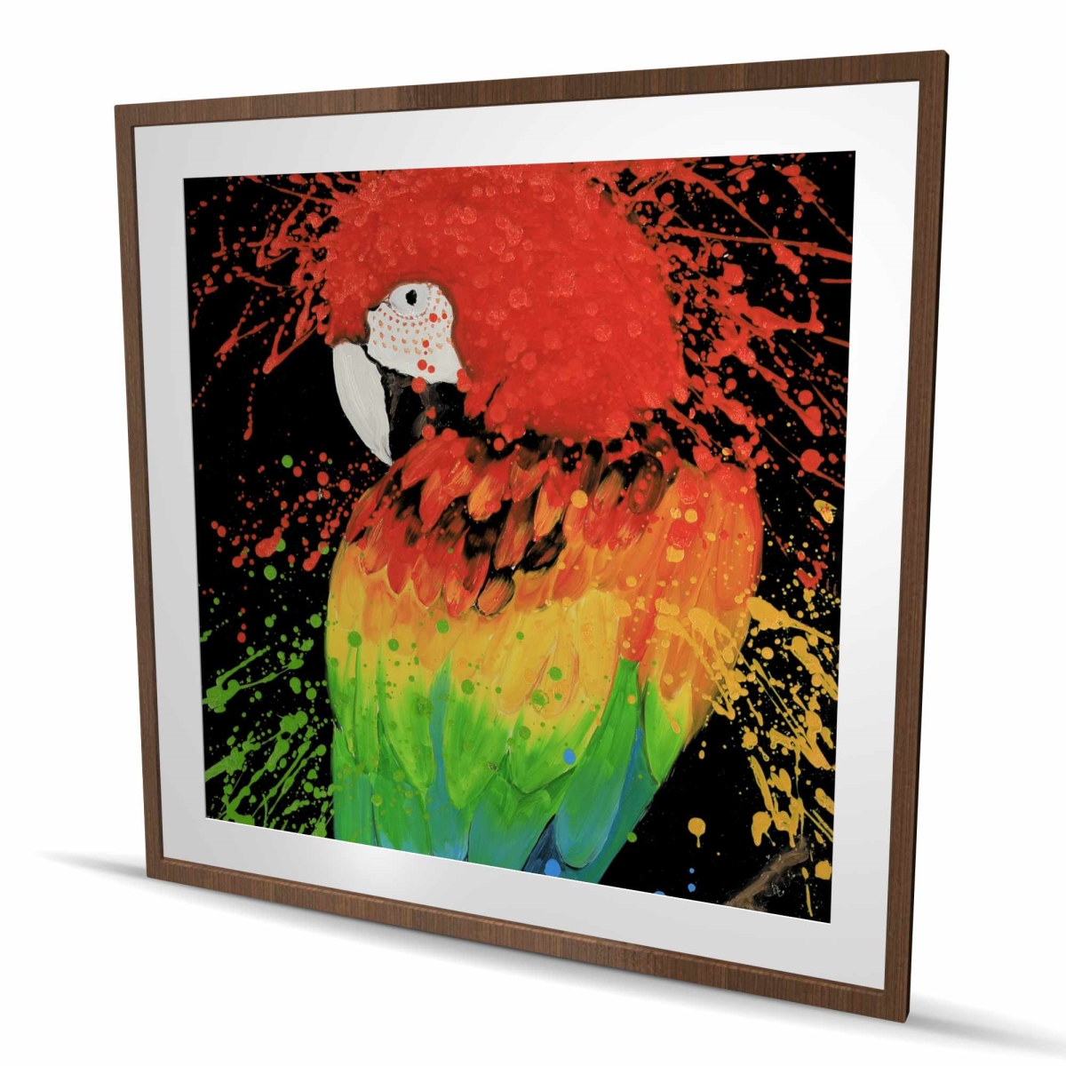 C1FM4848M2KRS1 48 x 48 in. Rainbow Parrot - Orange Wildlife Framed Matted Print - Decor