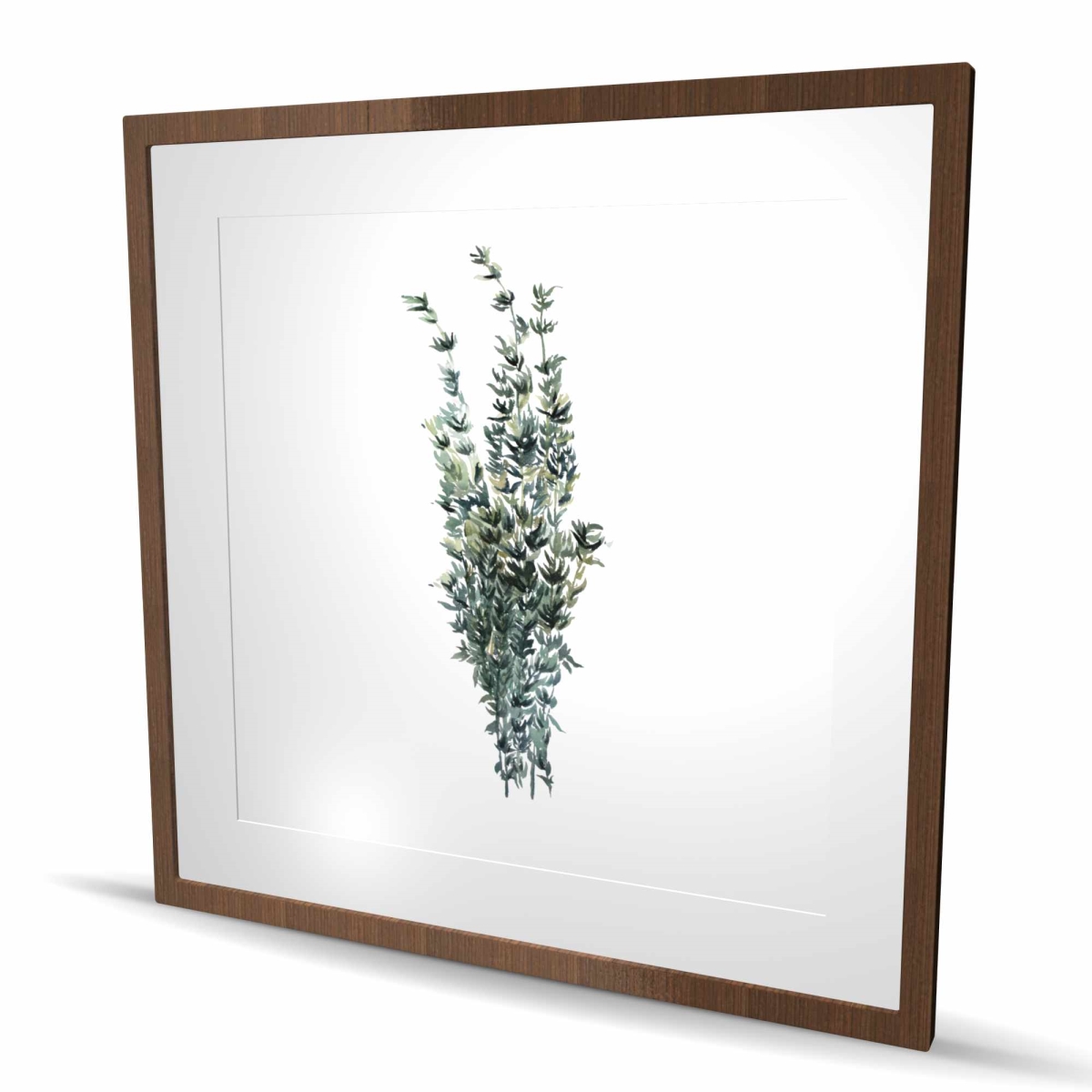 C1FM36362FROPW 36 x 36 in. Thyme Leaves Bundle - Food White Framed Matted Print Decor