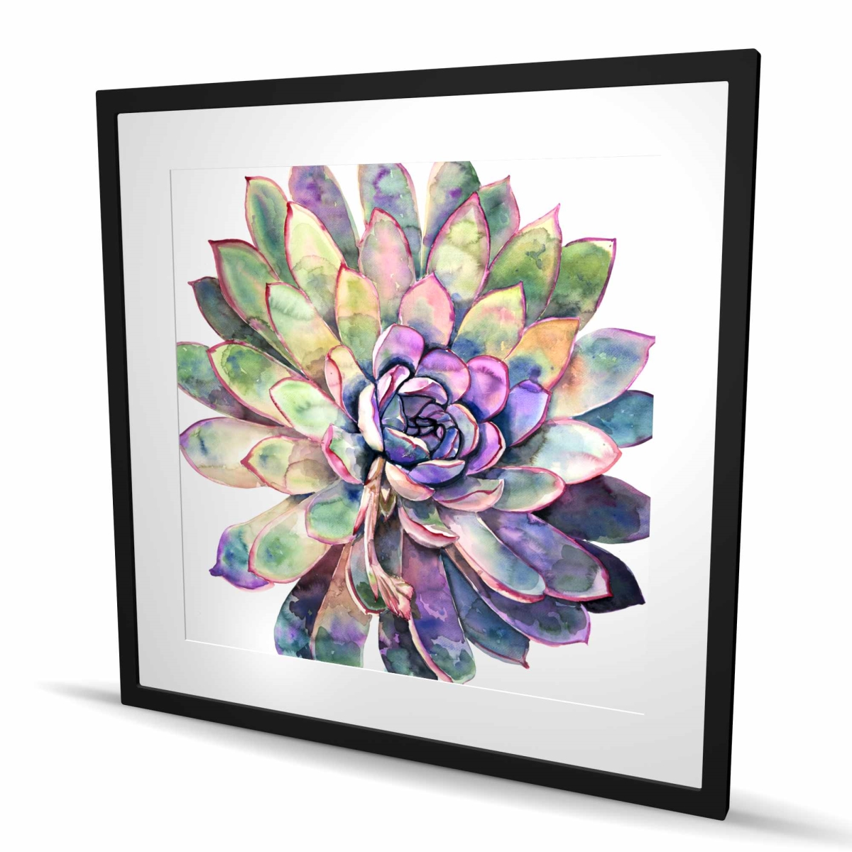 C1FM3636NWLC6L 36 x 36 in. Multicolored Succulent - Framed Matted Print for Home Decor