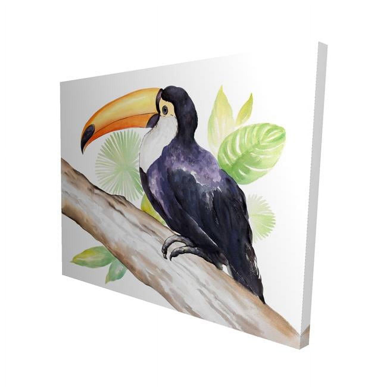 16 x 20 in. Toucan Perched-Print on Canvas