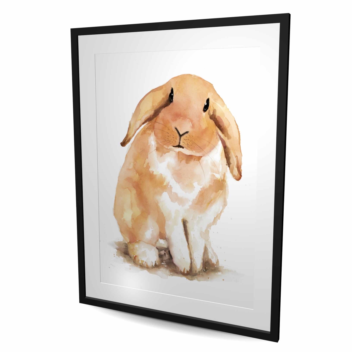C1FM3648B0LPRE 36 x 48 in. Lop-Rabbit - Illustrative Pets Framed Matted Print for Decor