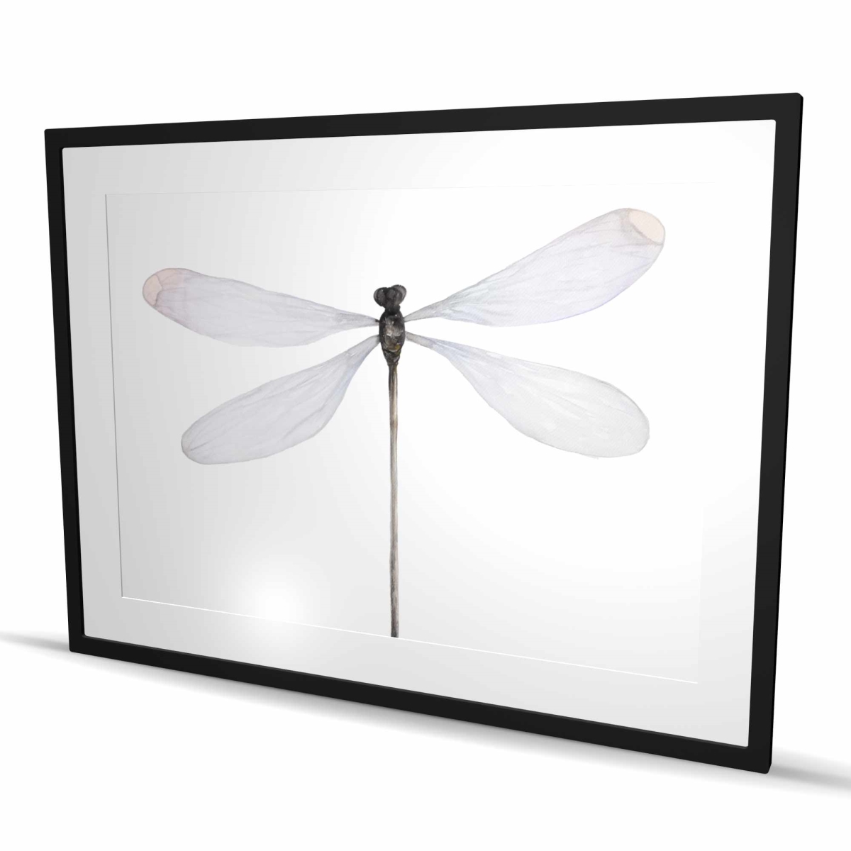 C1FM3648DLEUV5 36 x 48 in. Minimalist Dragonfly - Framed Matted Print for Home Decor