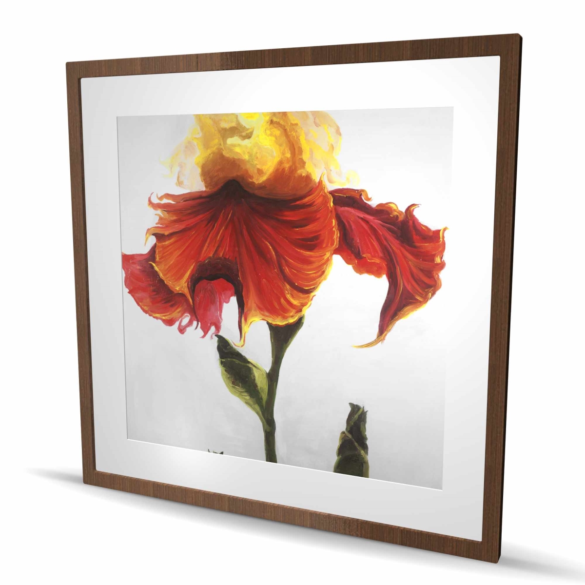 C1FM3636E2WWYO 36 x 36 in. Blossoming Lily Flower Print - Orange Framed Matted Decor