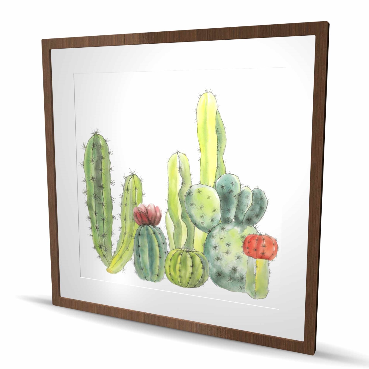 C1FM3636EEXM87 36 x 36 in. Small Cactus - Green Framed Matted Print for Home Decor