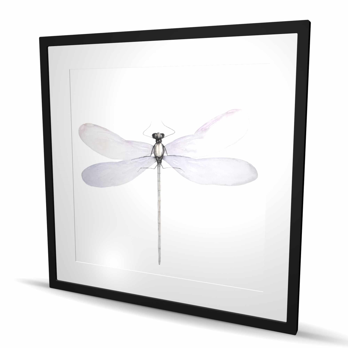 C1FM3636VTAED4 36 x 36 in. Delicate Dragonfly - Minimalist Framed Print for Home Decor