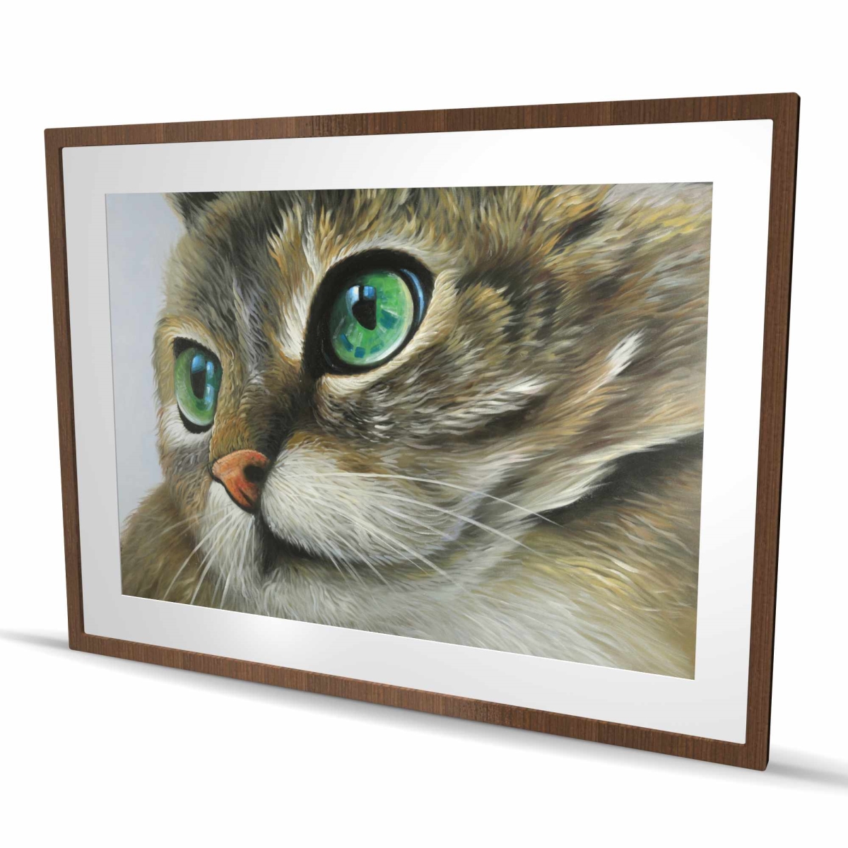 C1FM36486VRLR6 36 x 48 in. Peaceful Cat Portrait - Framed Matted Print for Home Decor