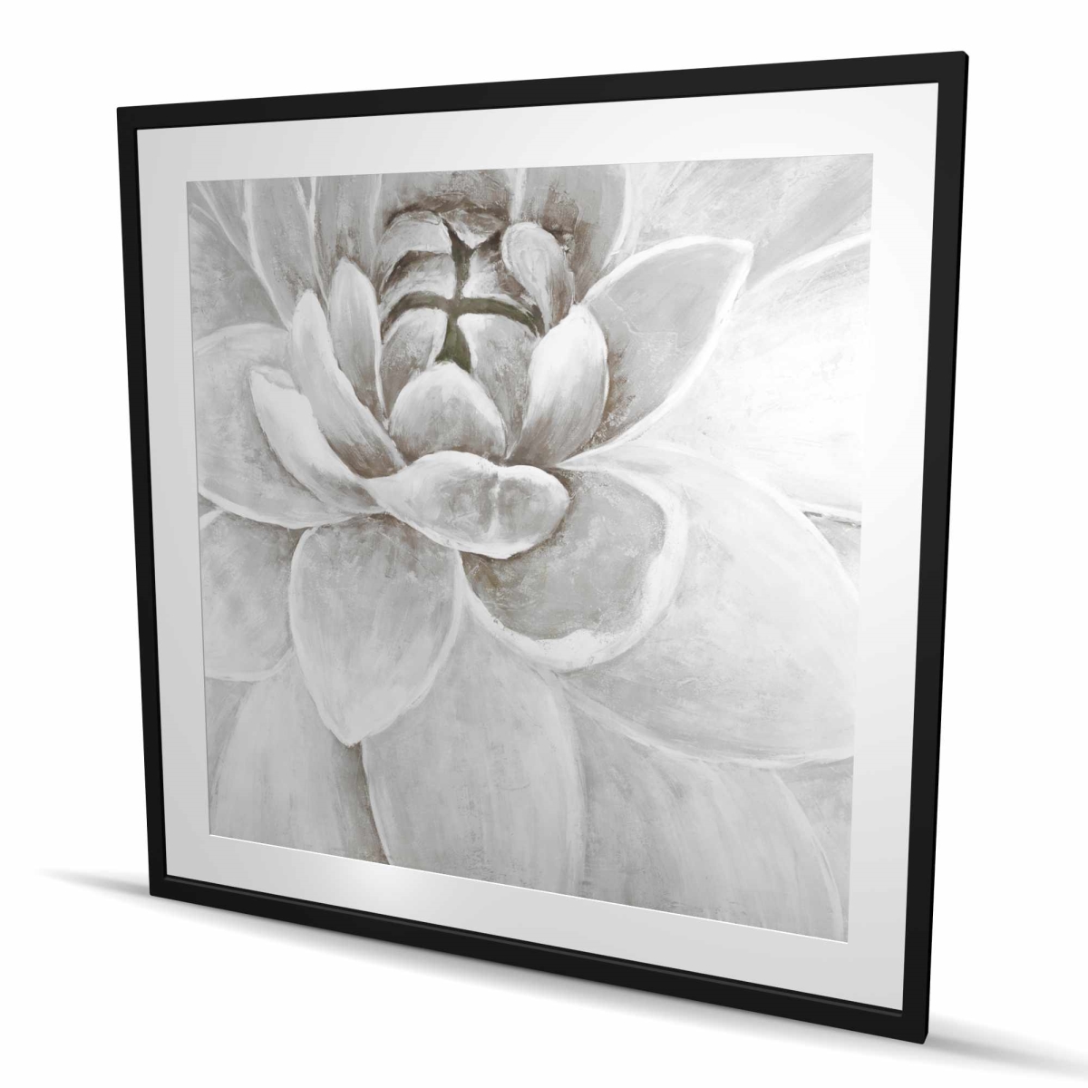 C1FM4848KQOCHE 48 x 48 in. Delicate White Chrysanthemum - Gray Framed Matted Print