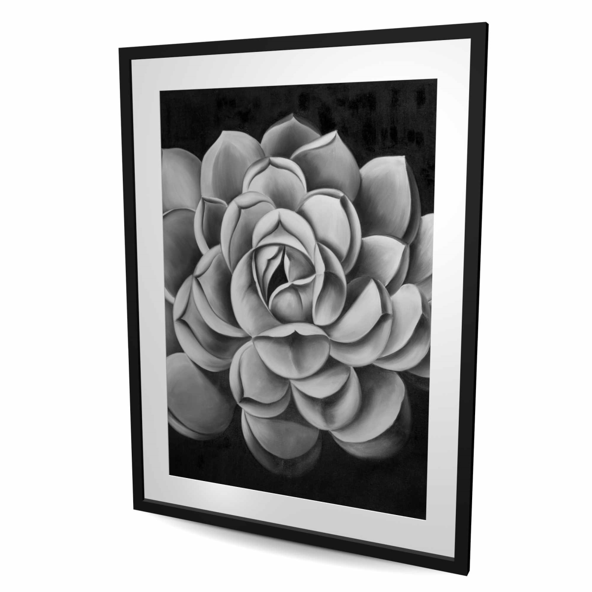 C1FM3648T57CS2 36 x 48 in. Black & White Succulent - Floral Botanical Framed Print