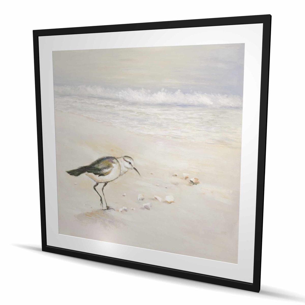 C1FM4848MKTC3D 48 x 48 in. Semipalmated Sandpiper Beach Print - Framed Matted Decor