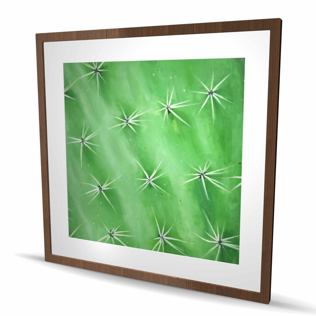 C1FM3636MH2IBG 36 x 36 in. Cactus Closeup - Framed Matted Print for Home Decor