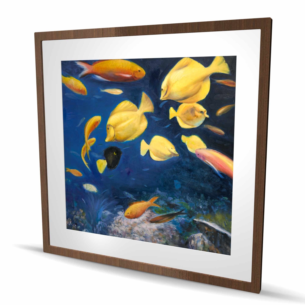 C1FM3636VEBJPI 36 x 36 in. Fish Under the Sea - Blue Livingroom Framed Matted Print