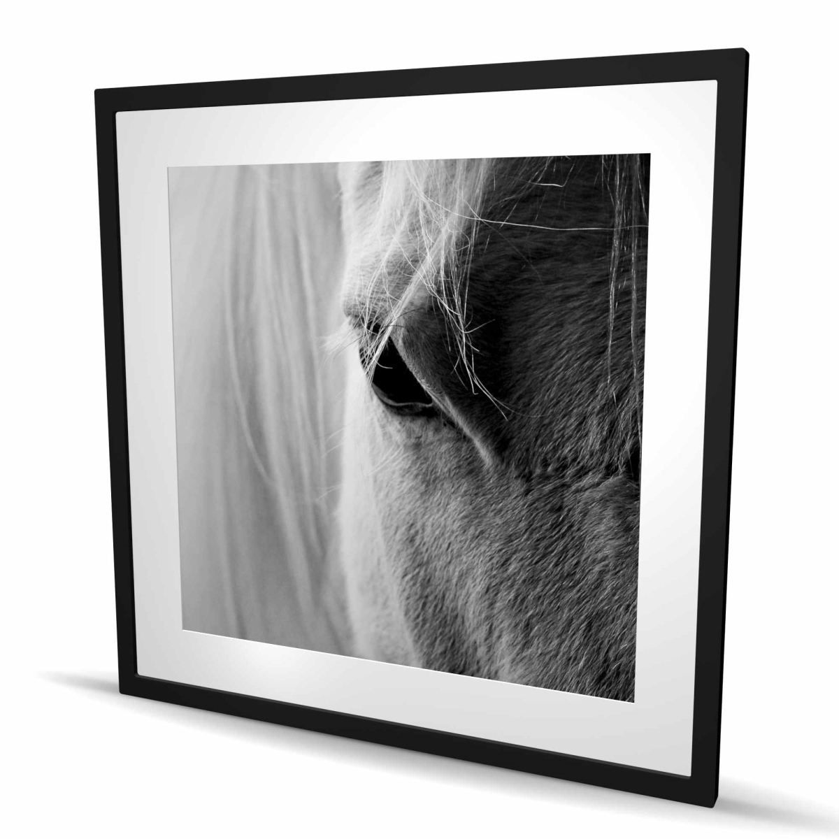 C1FM3636M74TK1 36 x 36 in. The White Horse Eye - Rustic Framed Matted Print for Decor