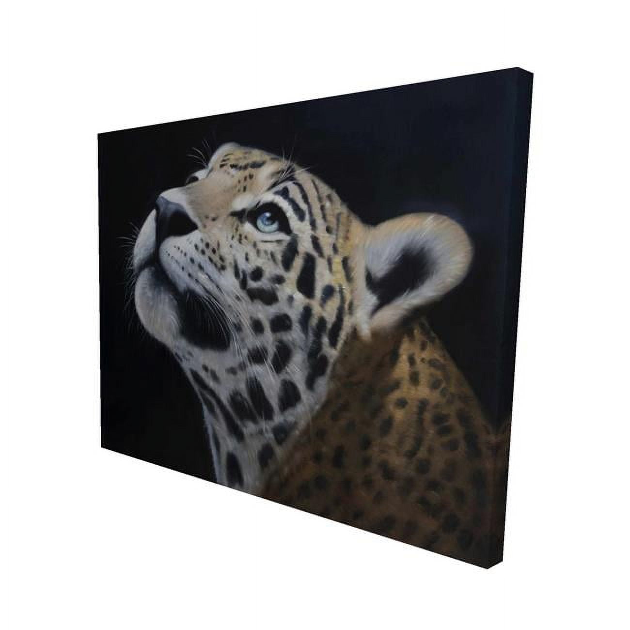 16 x 20 in. Realistic Leopard Face-Print on Canvas