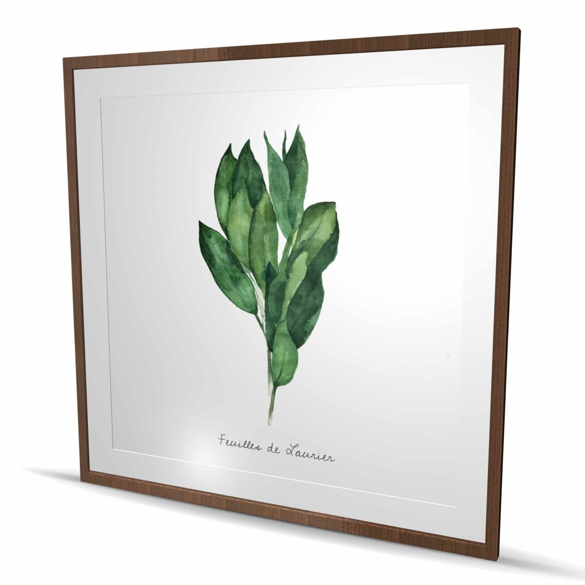 C1FM4848ETCJEC 48 x 48 in. Bay Leaves Bundle - Framed Farmhouse Kitchen Print for Decor