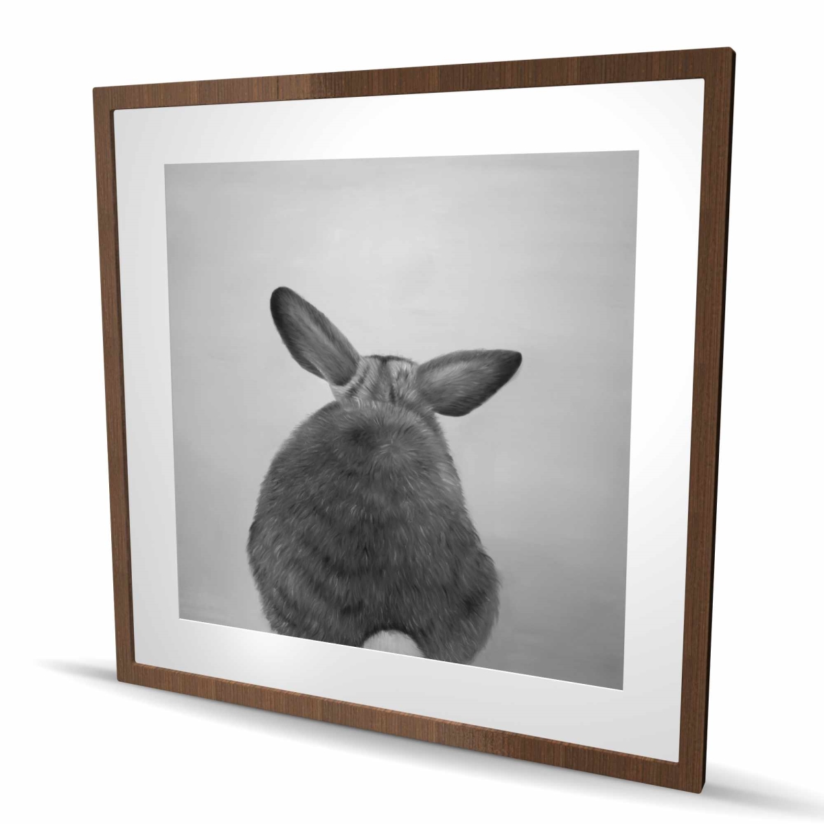 C1FM3636EIGO1C 36 x 36 in. Little Rabbit From Behind - Hyperrealist Matted Print Decor