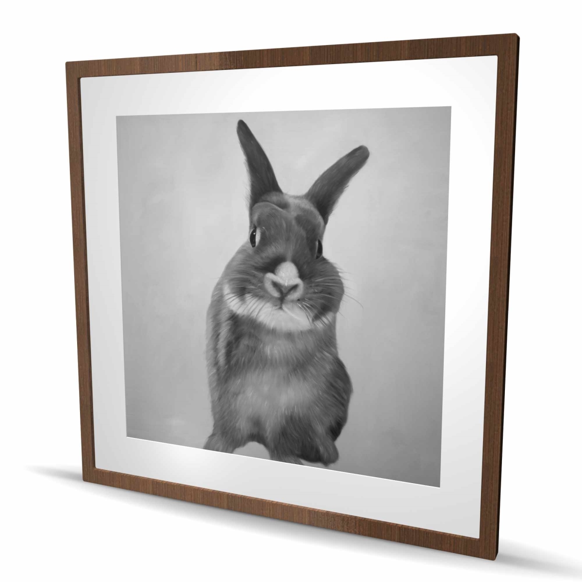 C1FM3636UFFEEX 36 x 36 in. Funny Gray Rabbit - Monochrome Black Framed Matted Print