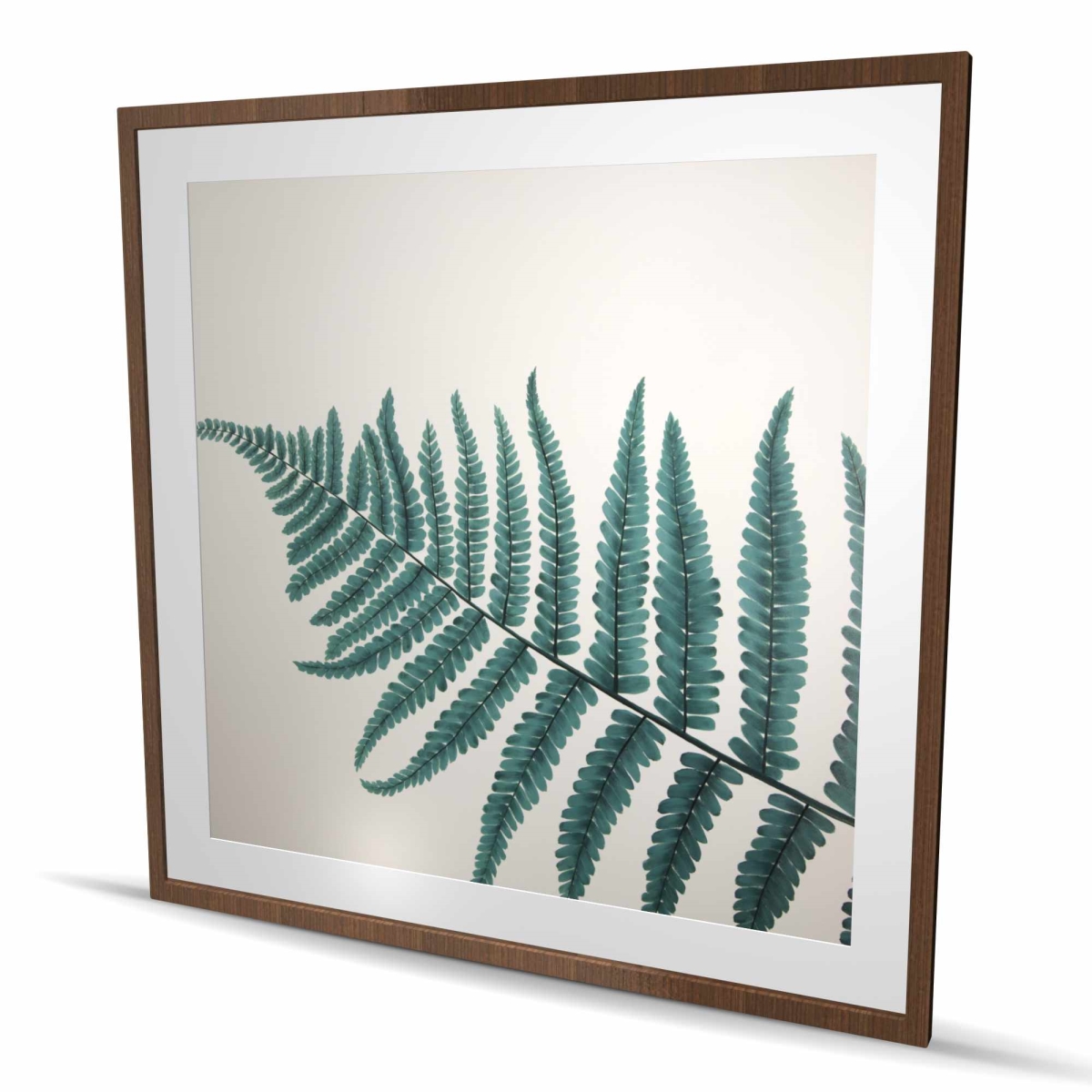 C1FM4848DYPA8C 48 x 48 in. Beautiful Fern - Botanical Exotic Framed Matted Print Decor