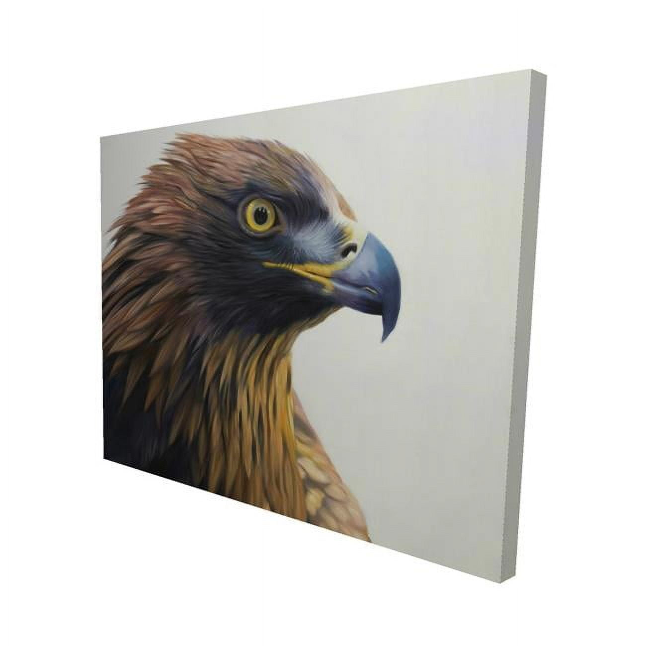 16 x 20 in. Brown-Headed Eagle-Print on Canvas