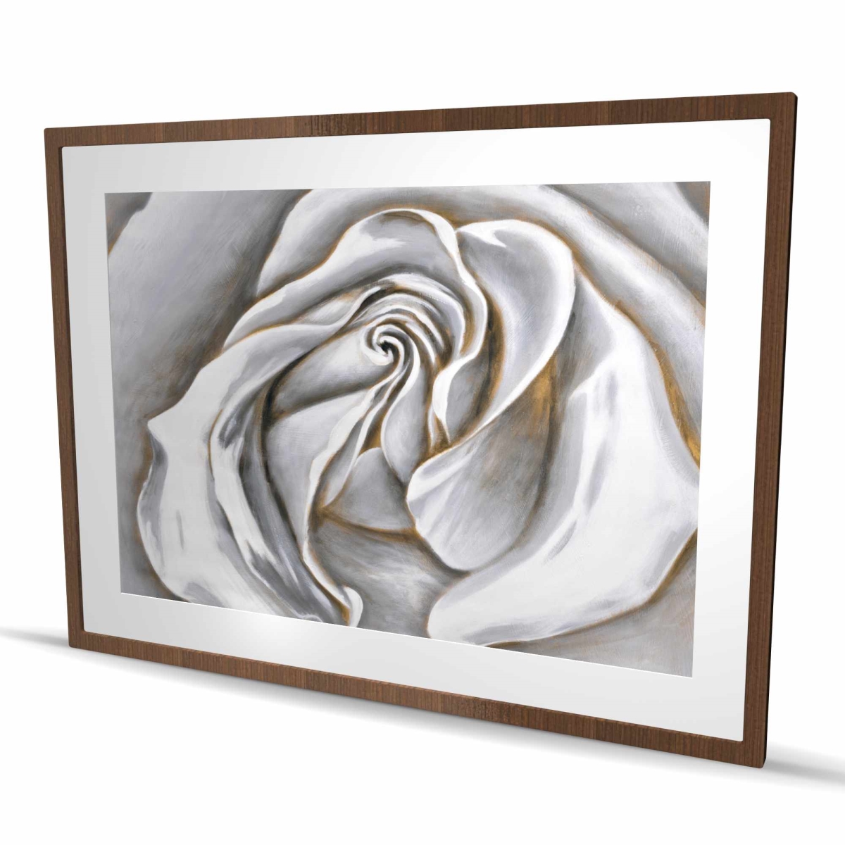 C1FM3648VY1JLH 36 x 48 in. White Rose Delicate - Floral Bathroom Print - Home Decor