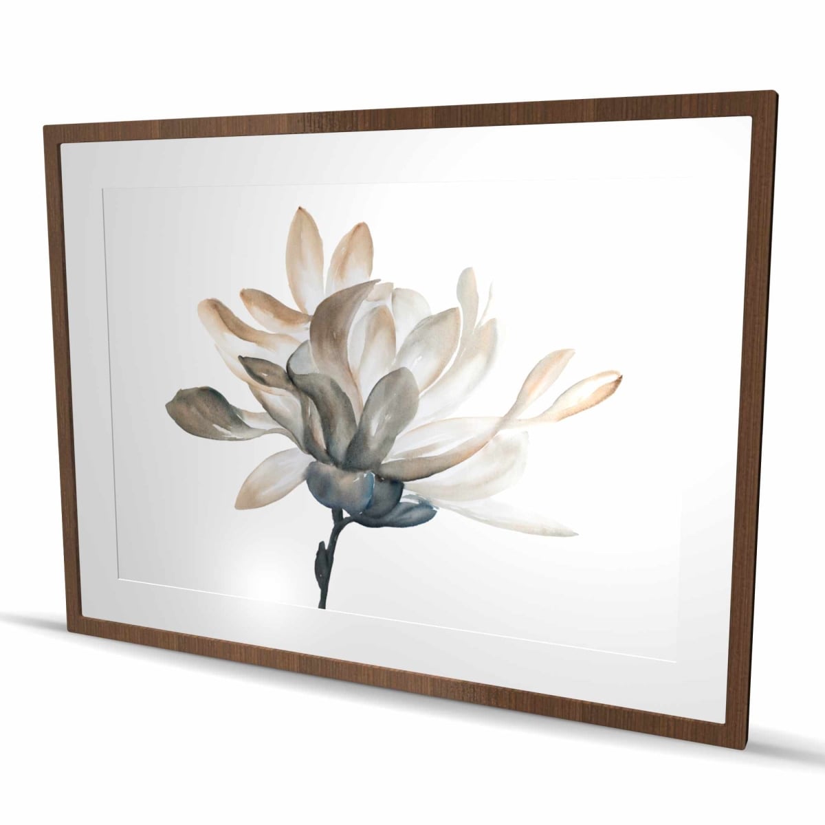 C1FM3648RJ46EA 36 x 48 in. Softness - Minimalist Framed Matted Print for Home Decor